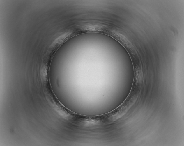 X0000113170453200909041325