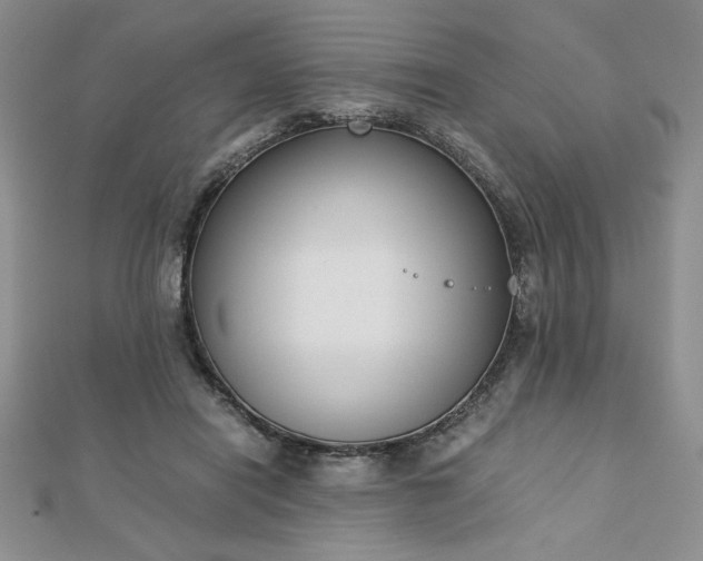 X0000113170454200909041325