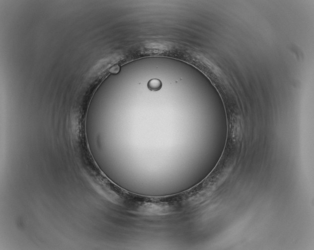 X0000113170455200909041325