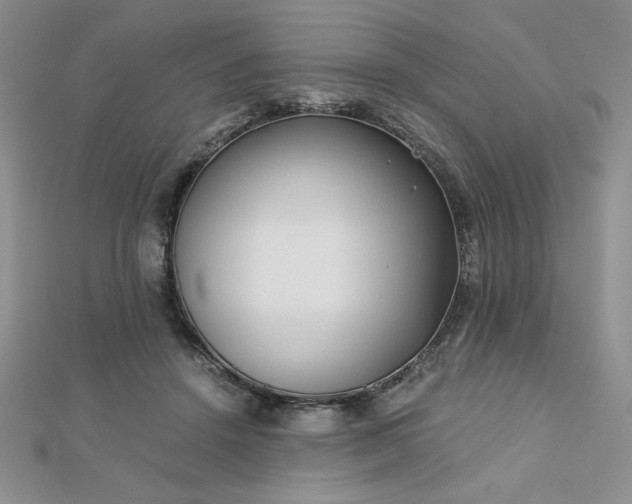 X0000113170456200909041325