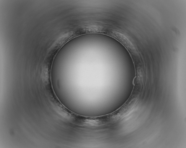 X0000113170457200909041325