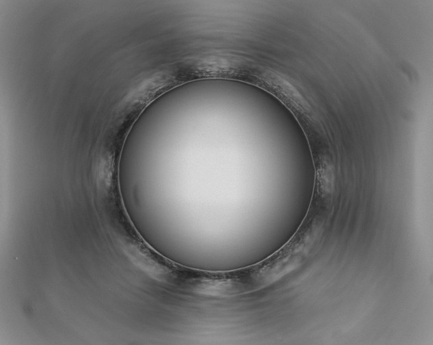 X0000113170458200909041325
