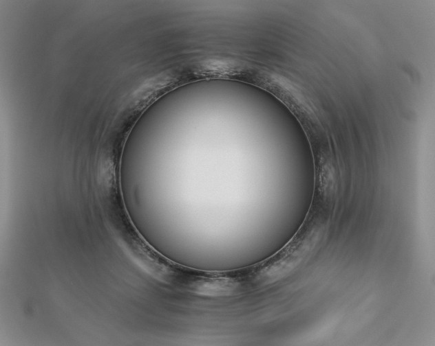 X0000113170459200909041325