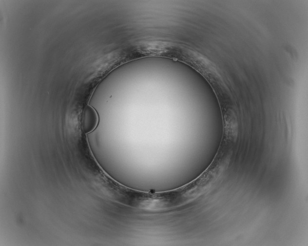 X0000113170460200909041325