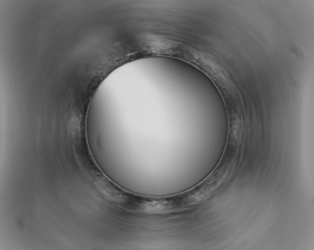 X0000113170461200909041325