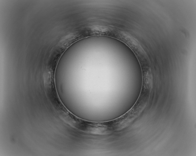 X0000113170463200909041325