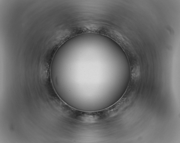 X0000113170464200909041325