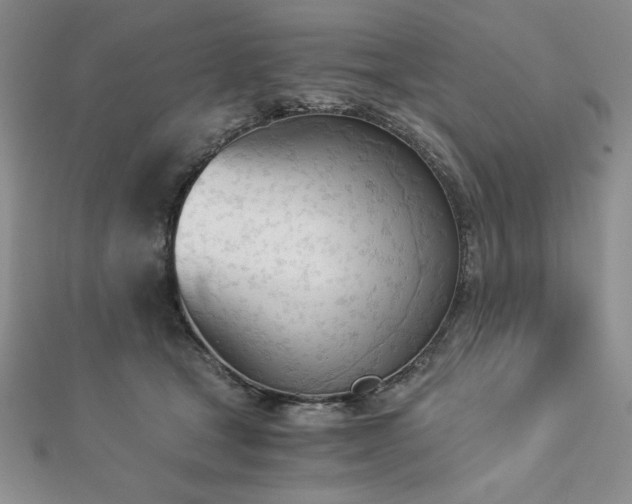 X0000113170465200909041325