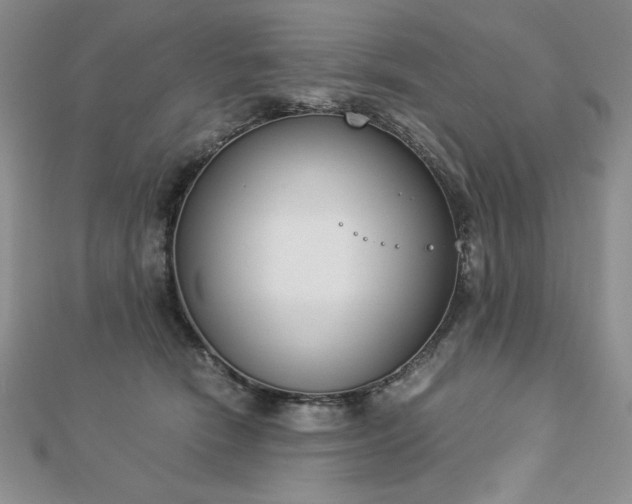 X0000113170466200909041325