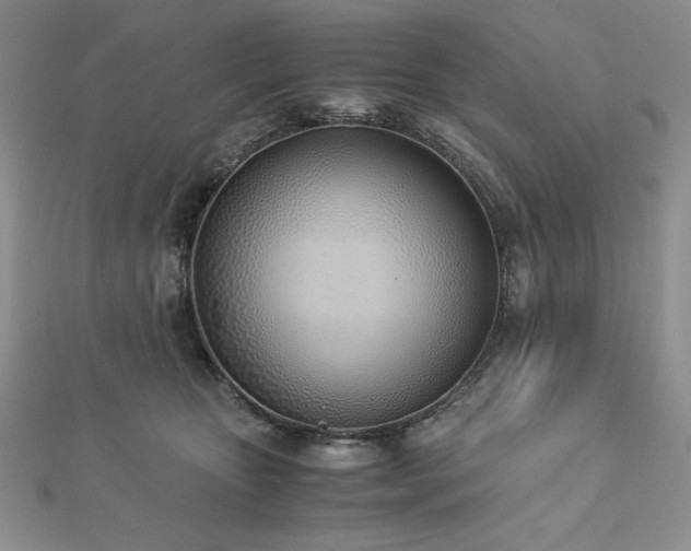 X0000113170467200909041325