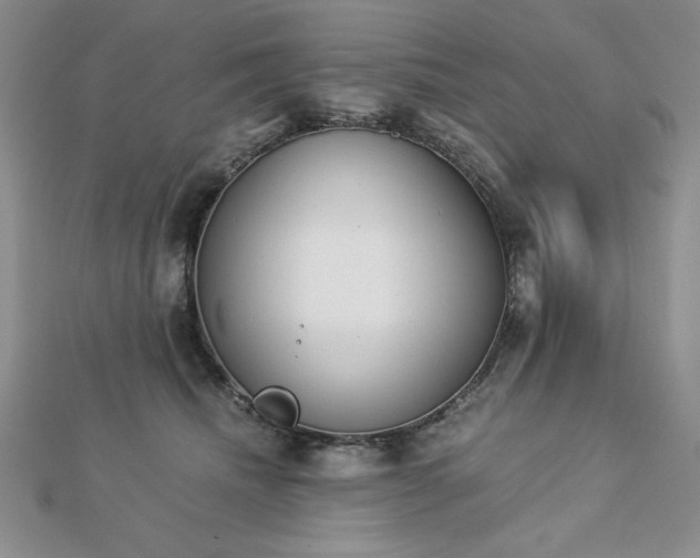 X0000113170468200909041325