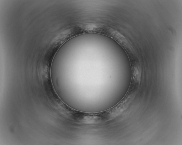 X0000113170470200909041325