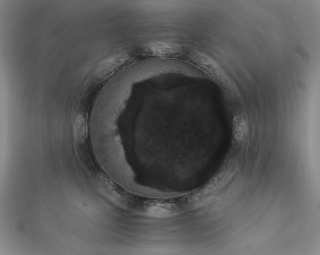 X0000113170471200909041325