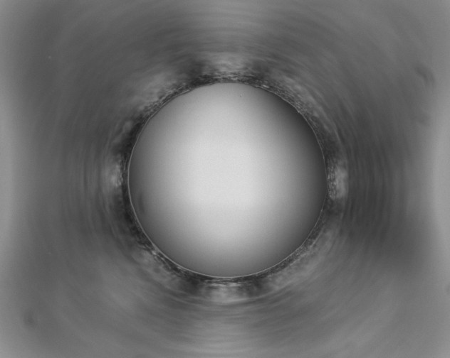 X0000113170472200909041325