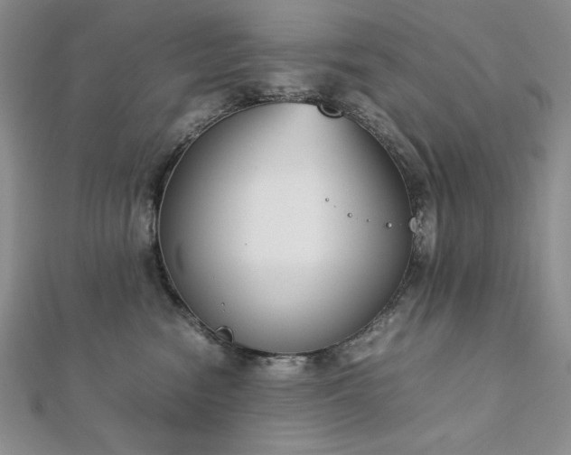 X0000113170474200909041325