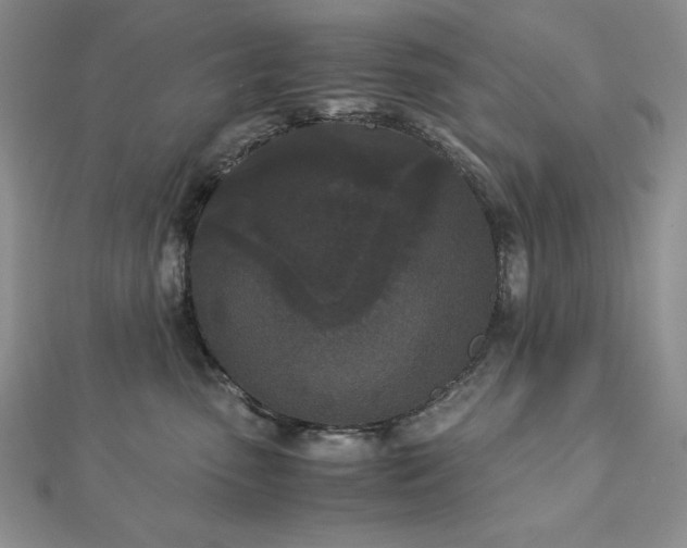 X0000113170475200909041325