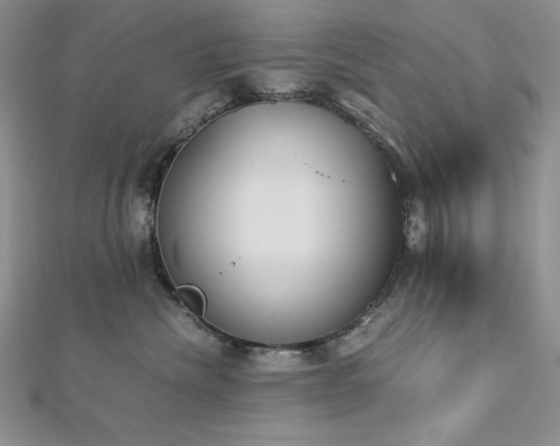 X0000113170476200909041325