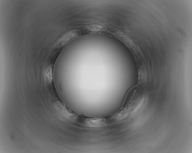 X0000113170479200909041325