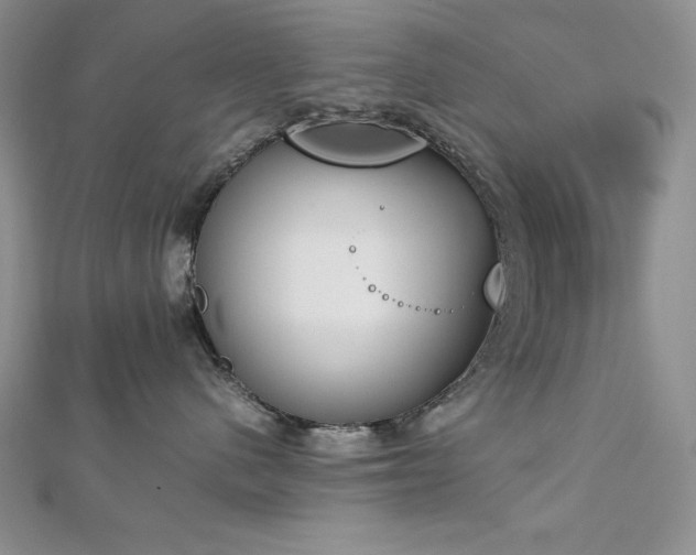 X0000113170480200909041325