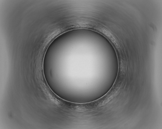 X0000113170481200909041325