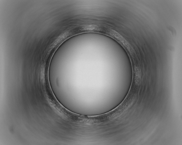 X0000113170482200909041325