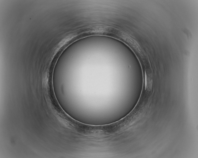 X0000113170483200909041325