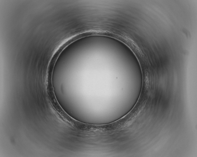 X0000113170484200909041325