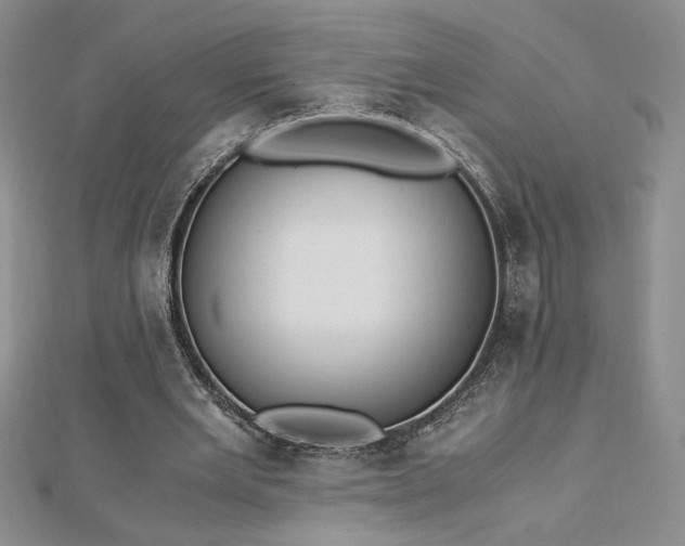 X0000113170485200909041325