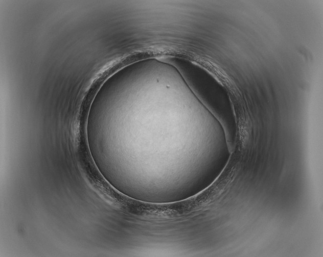 X0000113170488200909041325