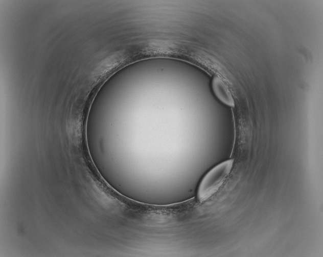 X0000113170489200909041325