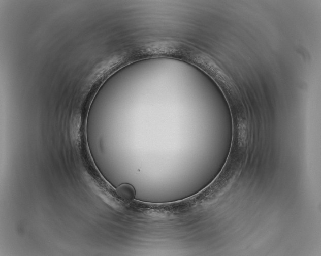 X0000113170490200909041325