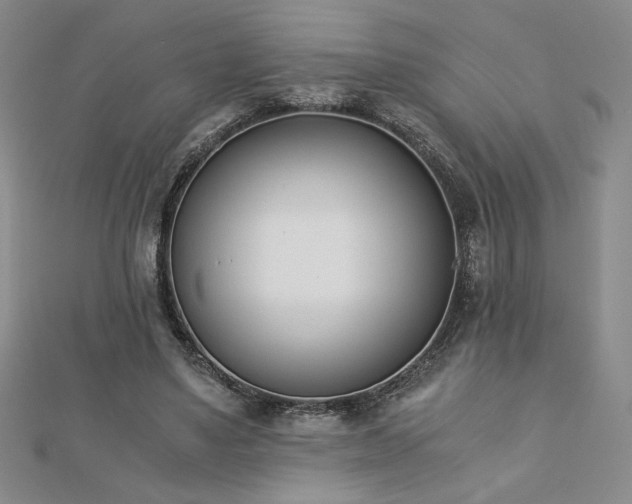 X0000113170491200909041325