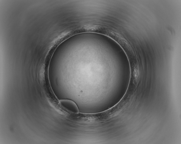 X0000113170492200909041325