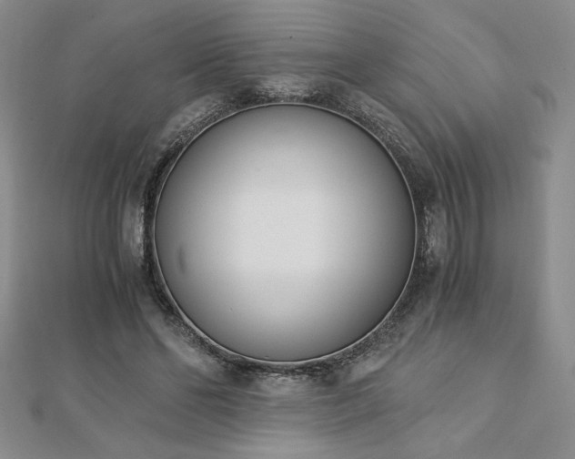 X0000113170494200909041325