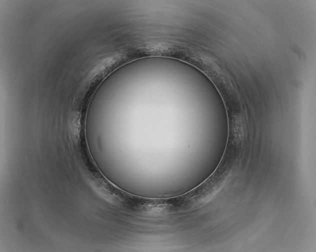 X0000113170495200909041325