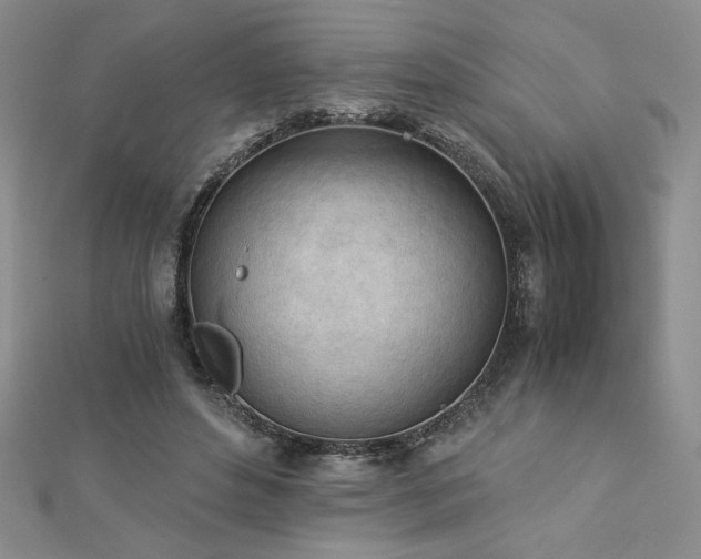 X0000113170496200909041325