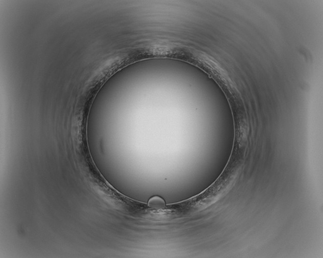 X0000113170497200909041324