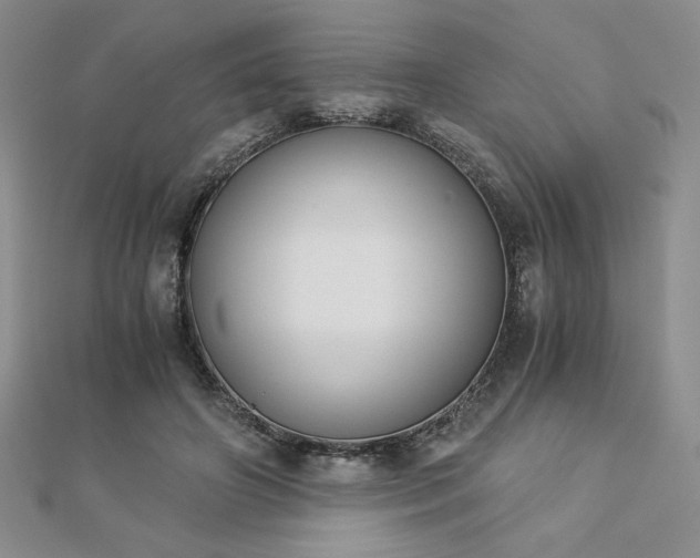 X0000113170498200909041324