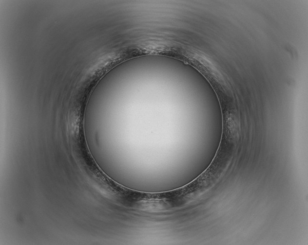 X0000113170499200909041324
