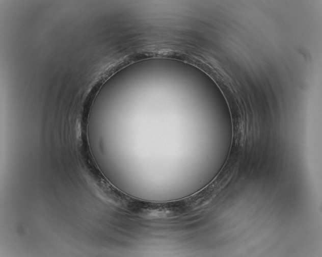 X0000113170500200909041324