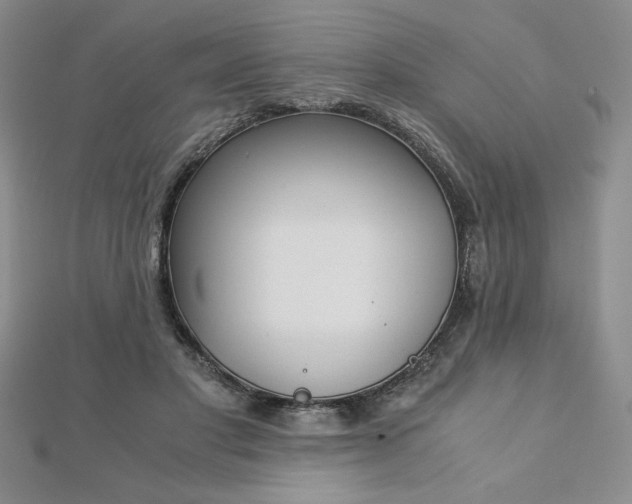 X0000113170501200909041324
