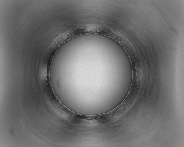 X0000113170502200909041324