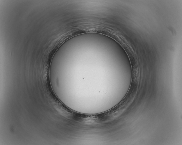 X0000113170505200909041324
