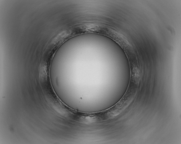 X0000113170506200909041324