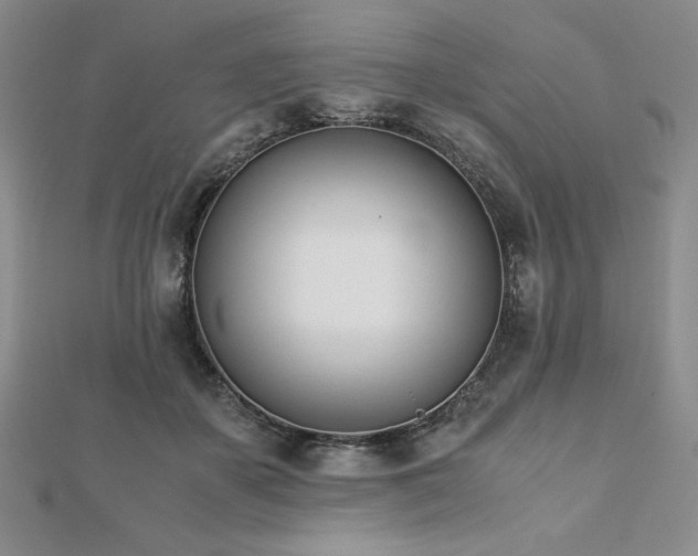 X0000113170507200909041324