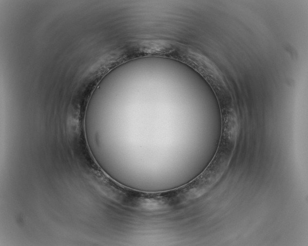 X0000113170510200909041324