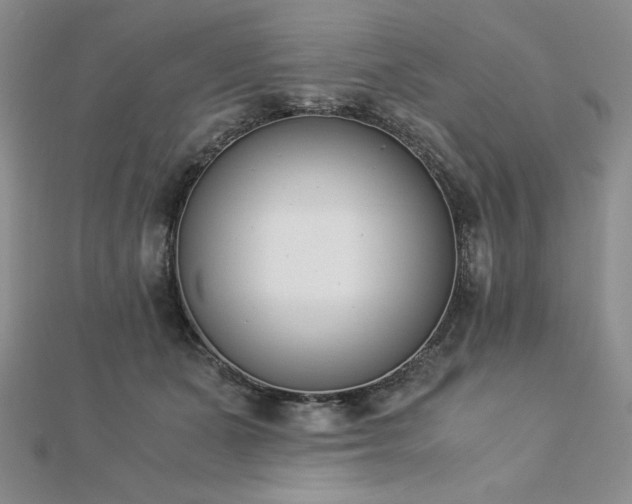 X0000113170511200909041324