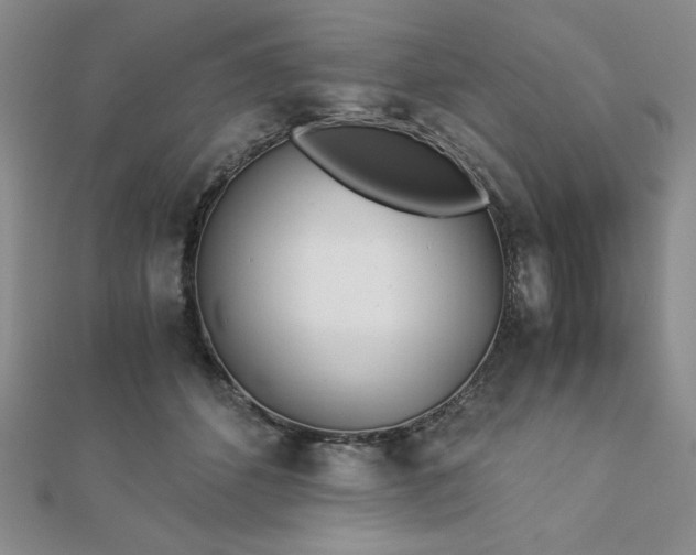 X0000113170512200909041324