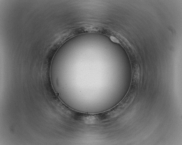 X0000113170513200909041324