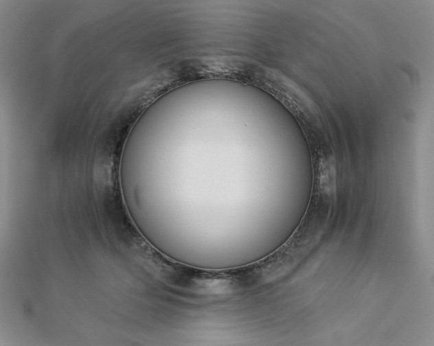 X0000113170514200909041324